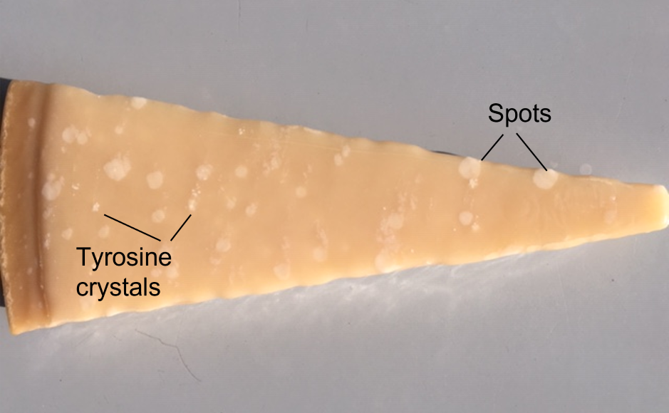 Caratterizzazione multiparametrica del formaggio Parmigiano Reggiano stagionato fino a 50 mesi