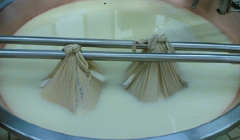 Variazioni stagionali delle frazioni proteiche e del contenuto minerale del siero cotto nella produzione del Parmigiano Reggiano